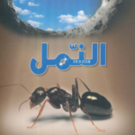 النمل